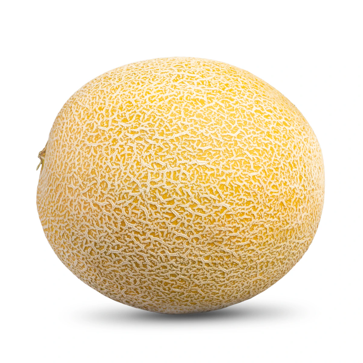 Melón Galia
