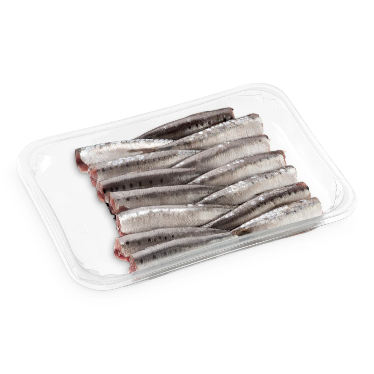 Sardina limpia descongelada